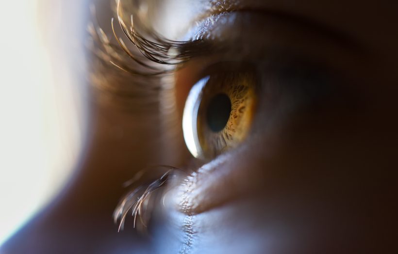 Close-up of beautiful little girl brown eye. Macro photograph.
